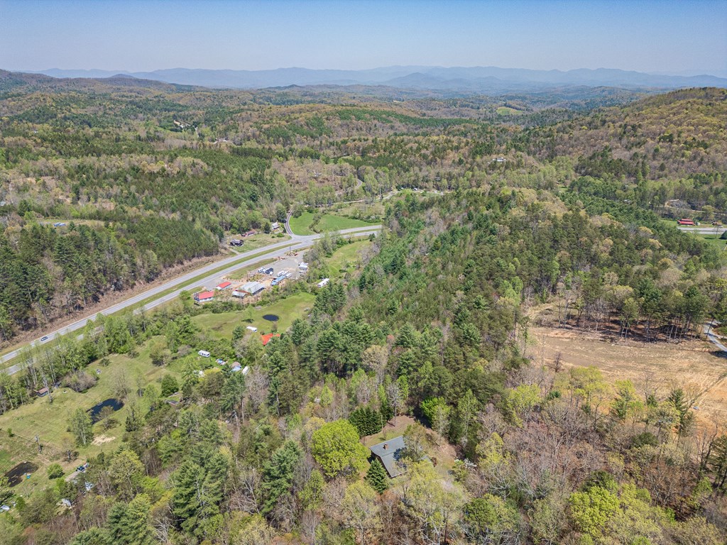 123 Freedom Pass Drive Property Photo 44