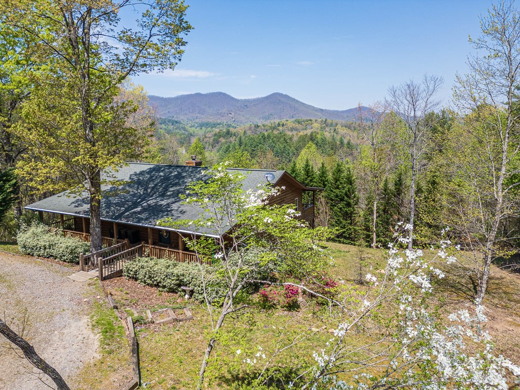 123 Freedom Pass Drive Property Photo 46