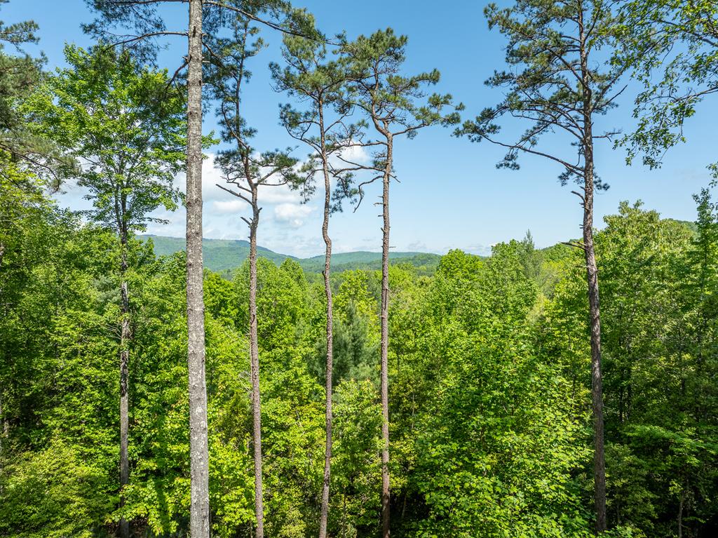 454 N. Old Aska Road Property Photo 2
