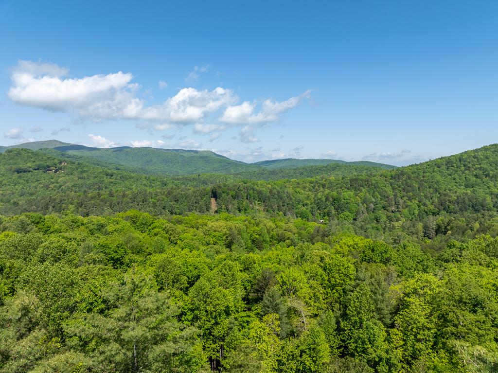 454 N. Old Aska Road Property Photo 3