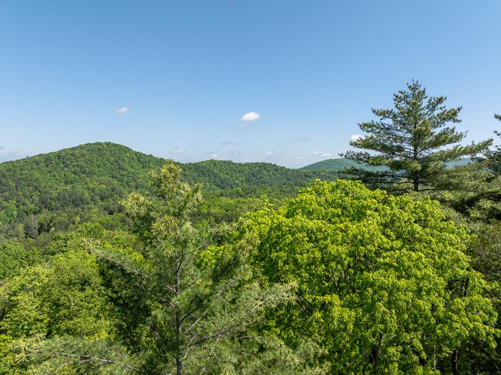 454 N. Old Aska Road Property Photo 47