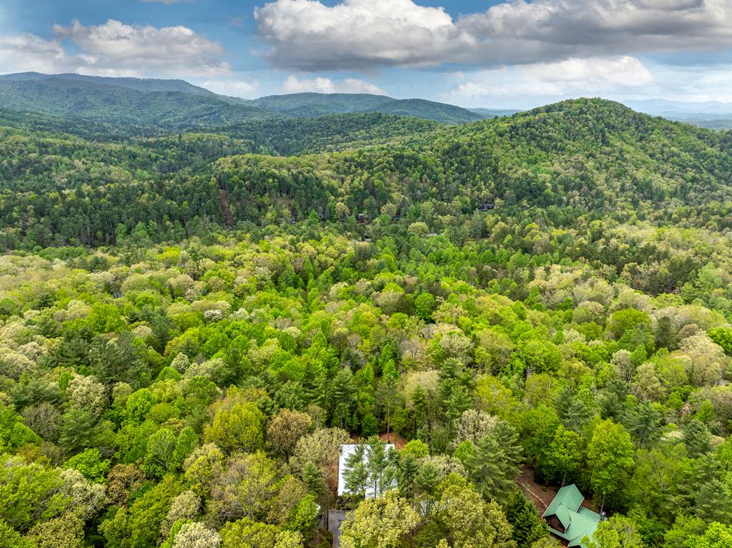 454 N. Old Aska Road Property Photo 51