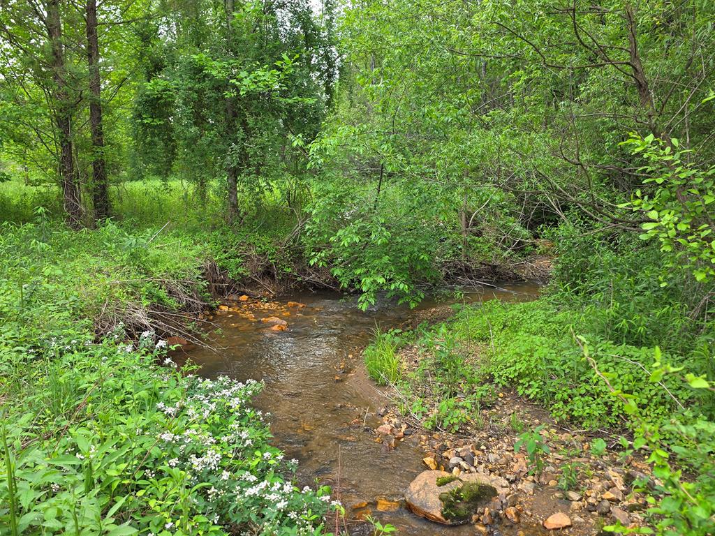 01 Bearmeat Road Property Photo 1