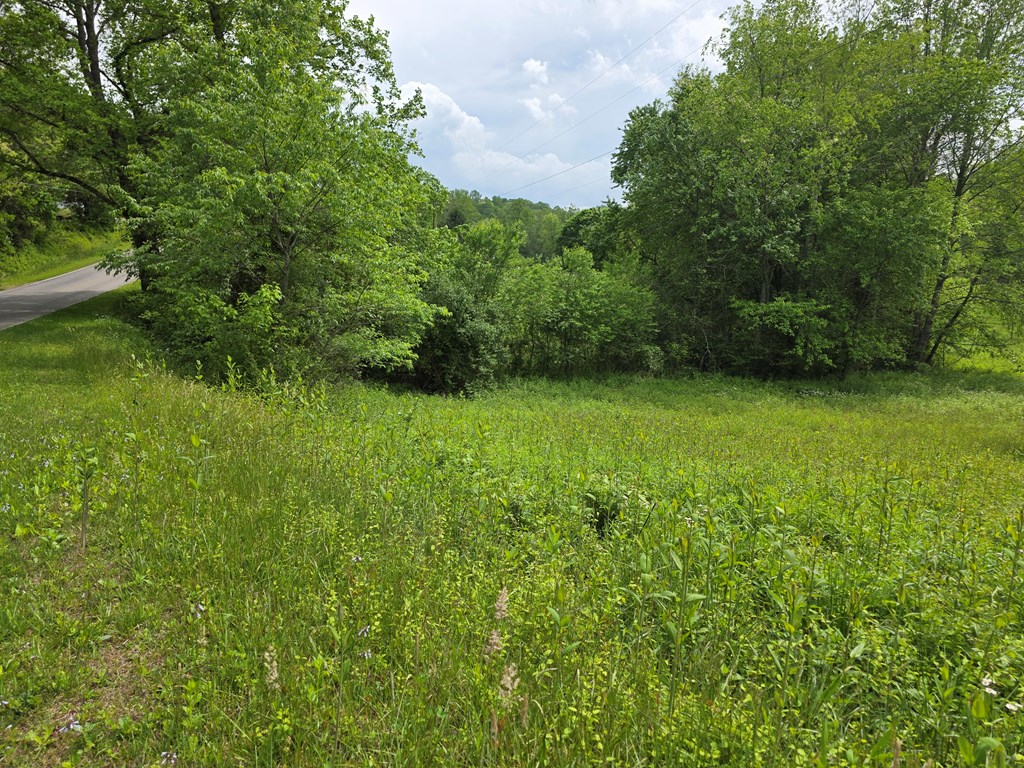 01 Bearmeat Road Property Photo 2