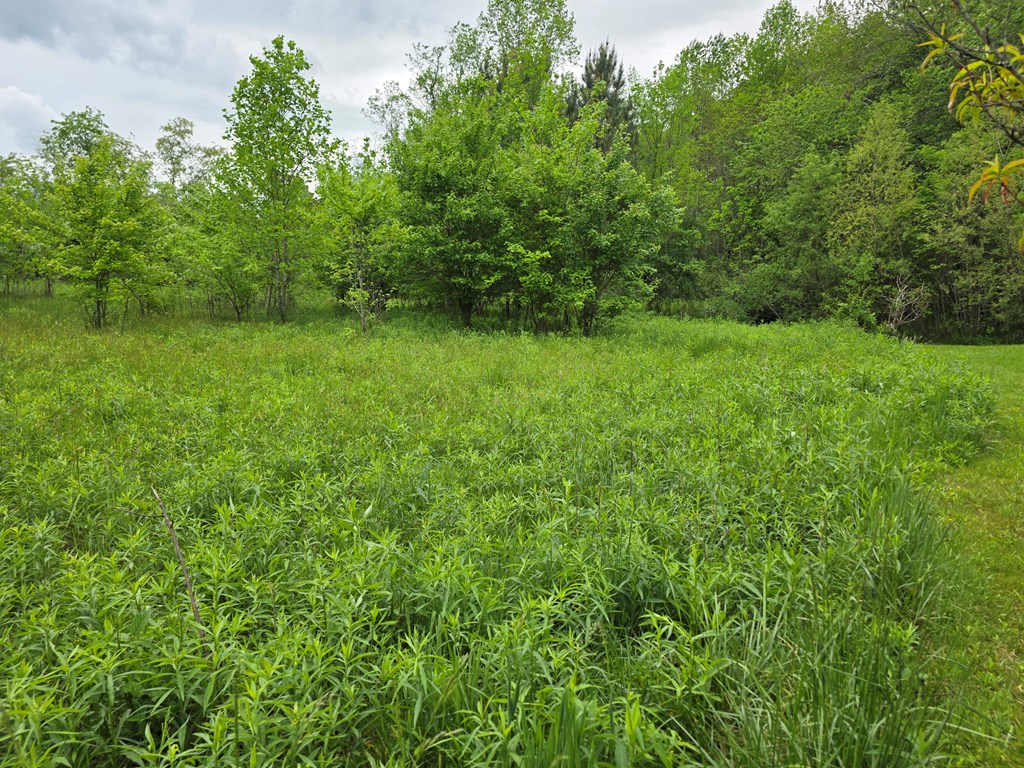 01 Bearmeat Road Property Photo 4