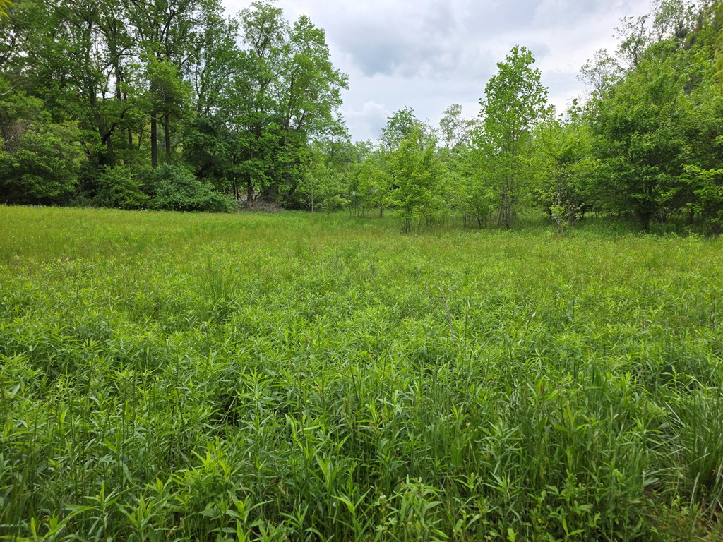 01 Bearmeat Road Property Photo 5