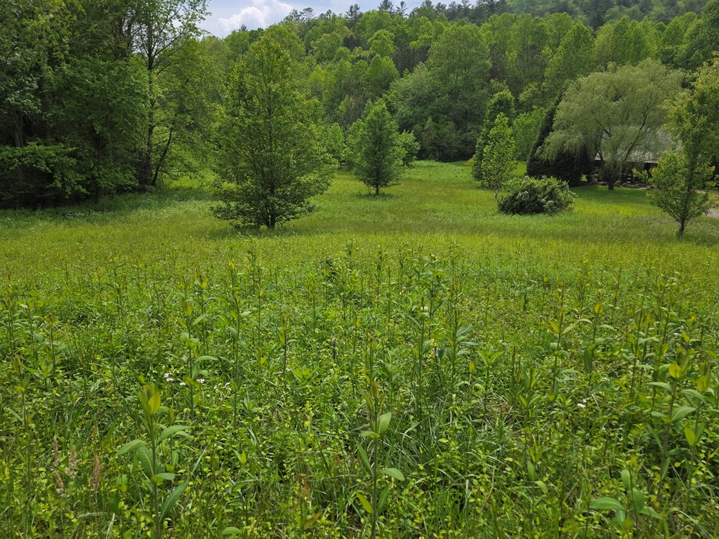 01 Bearmeat Road Property Photo 6