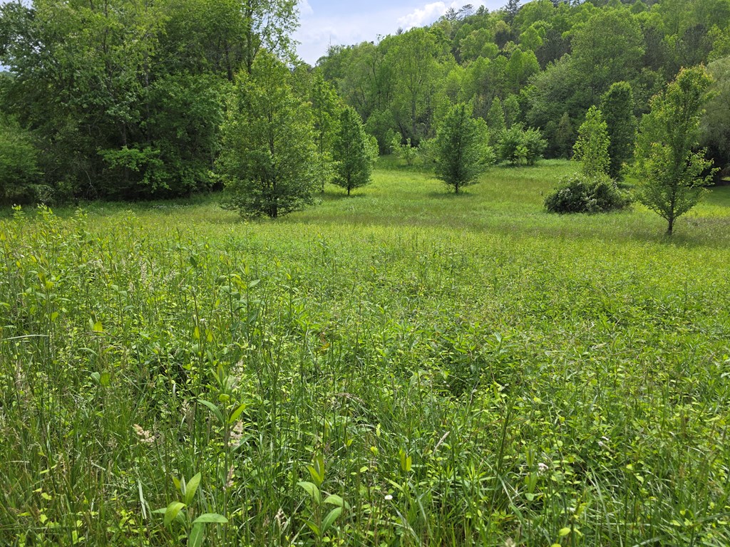 01 Bearmeat Road Property Photo 8