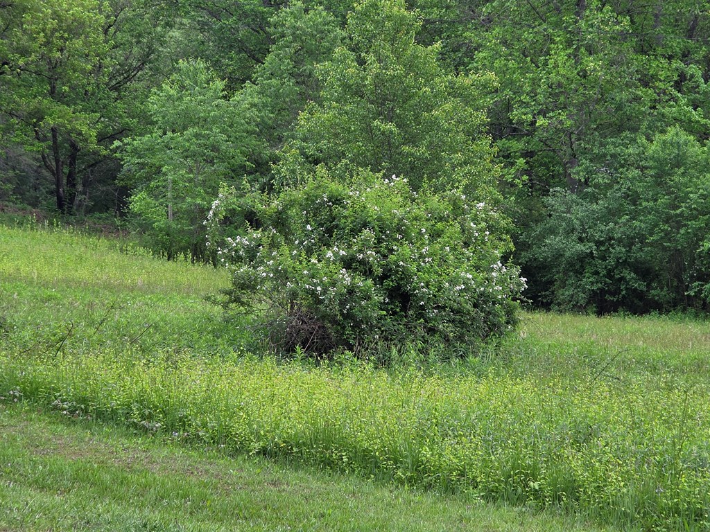 01 Bearmeat Road Property Photo 9