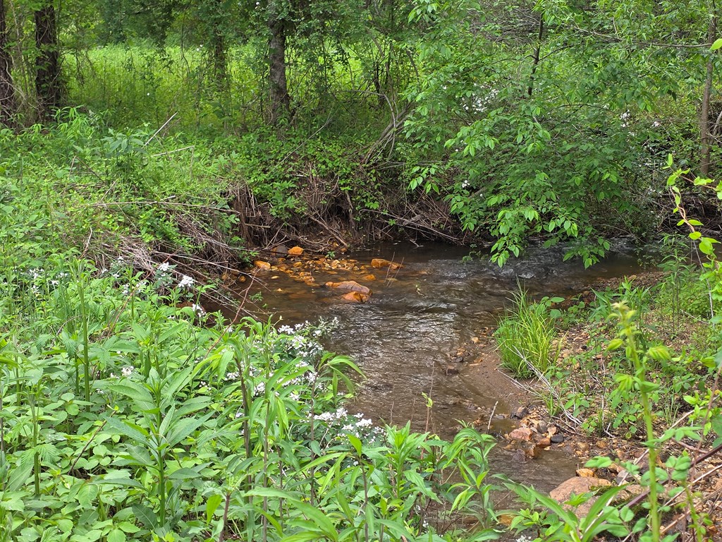 01 Bearmeat Road Property Photo 12
