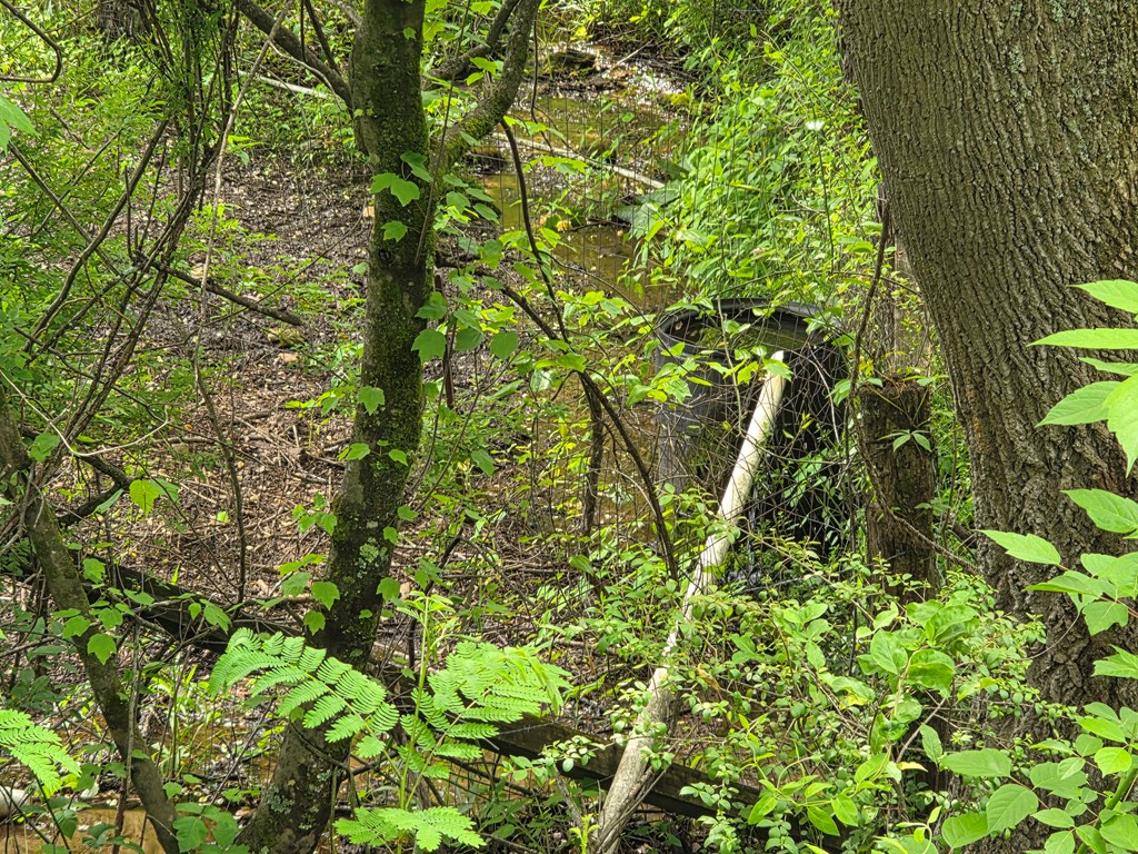 01 Bearmeat Road Property Photo 15