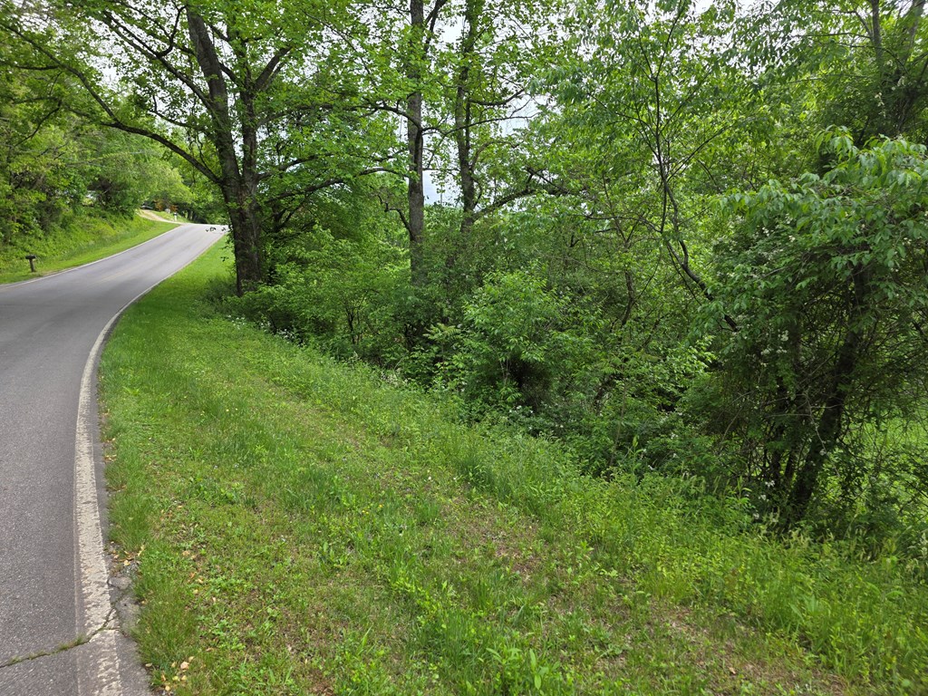 01 Bearmeat Road Property Photo 19