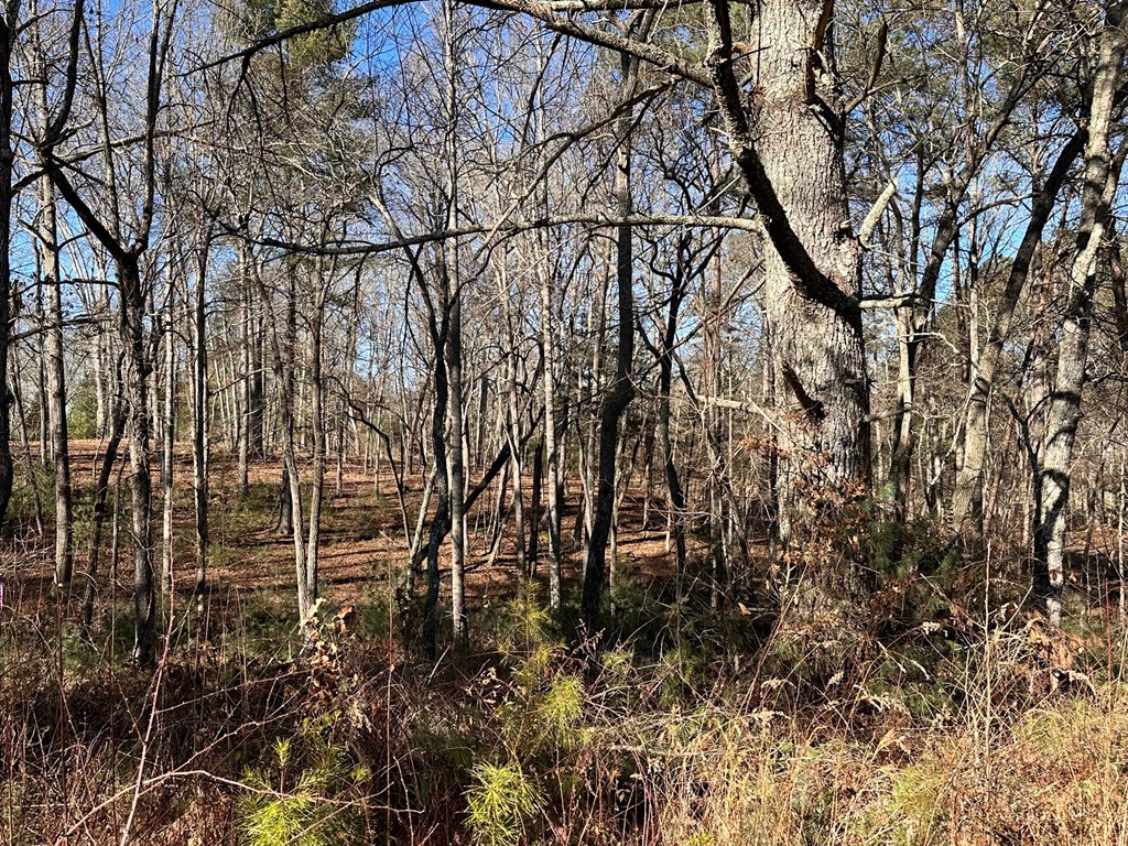 Lot 14 Fairview Way Property Photo 3
