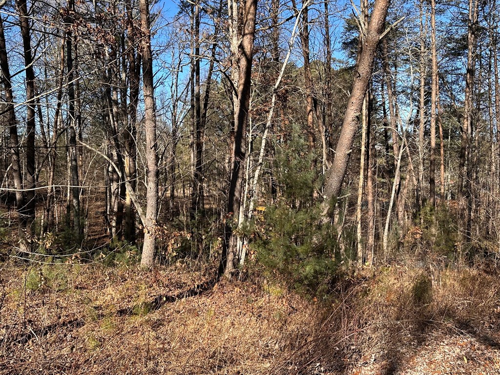 Lot 14 Fairview Way Property Photo 4