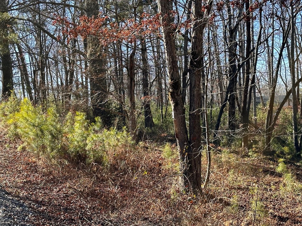 Lot 14 Fairview Way Property Photo 5