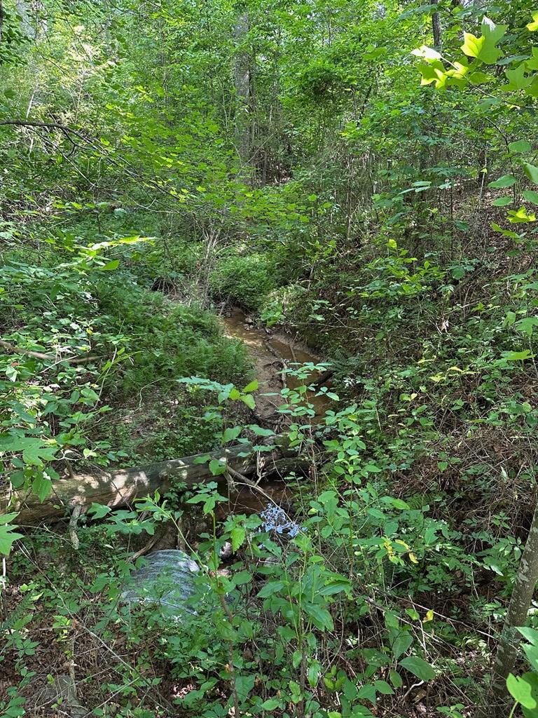 Lot 30 Fairview Drive Property Photo 3