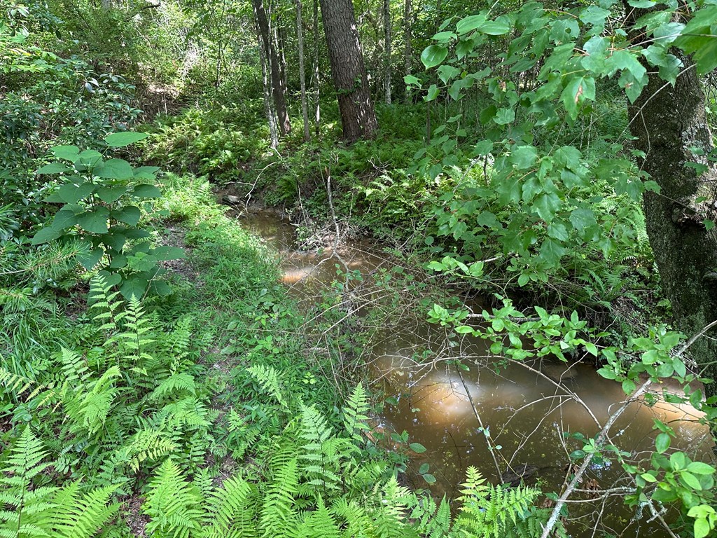 Lot 30 Fairview Drive Property Photo 5