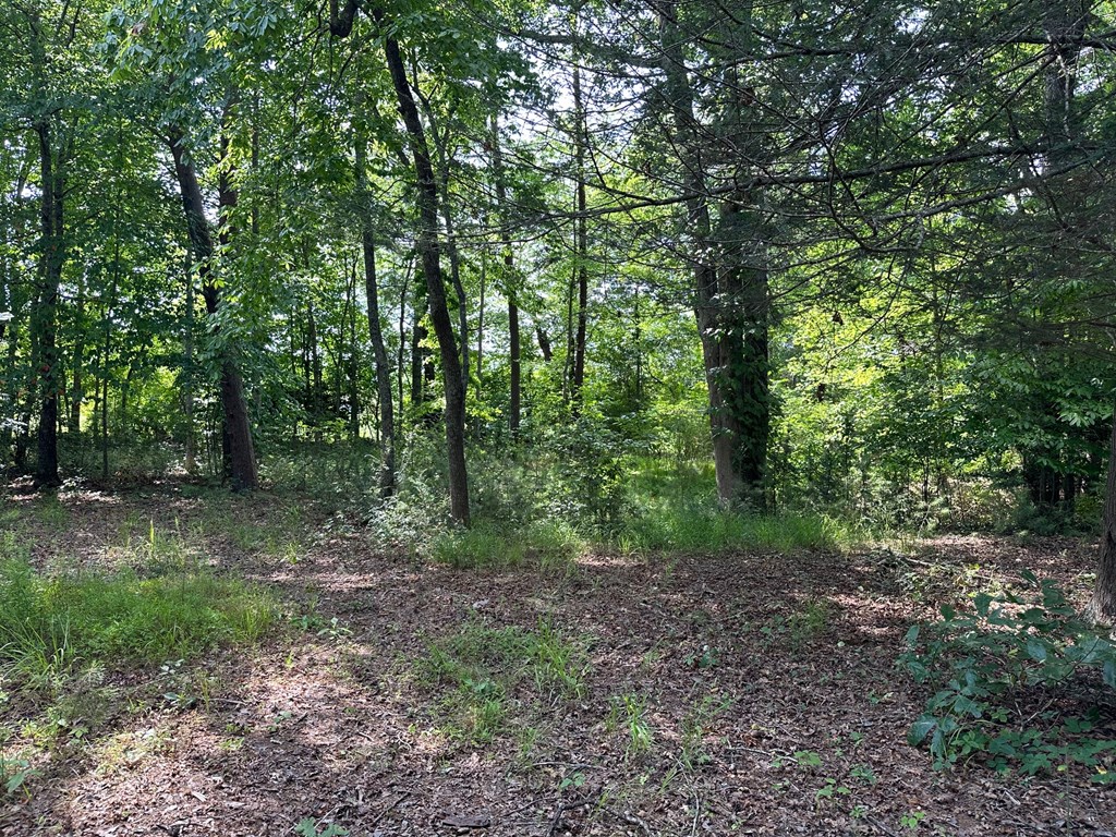 Lot 30 Fairview Drive Property Photo 8