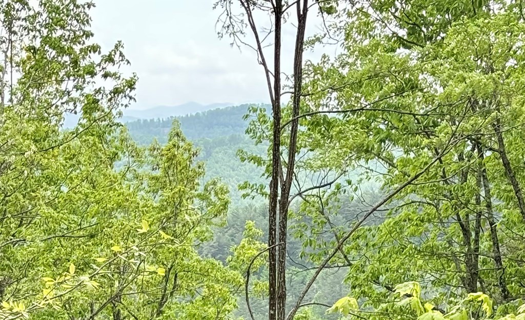 Lot 4-25 Sahkanaga Drive Property Photo 2