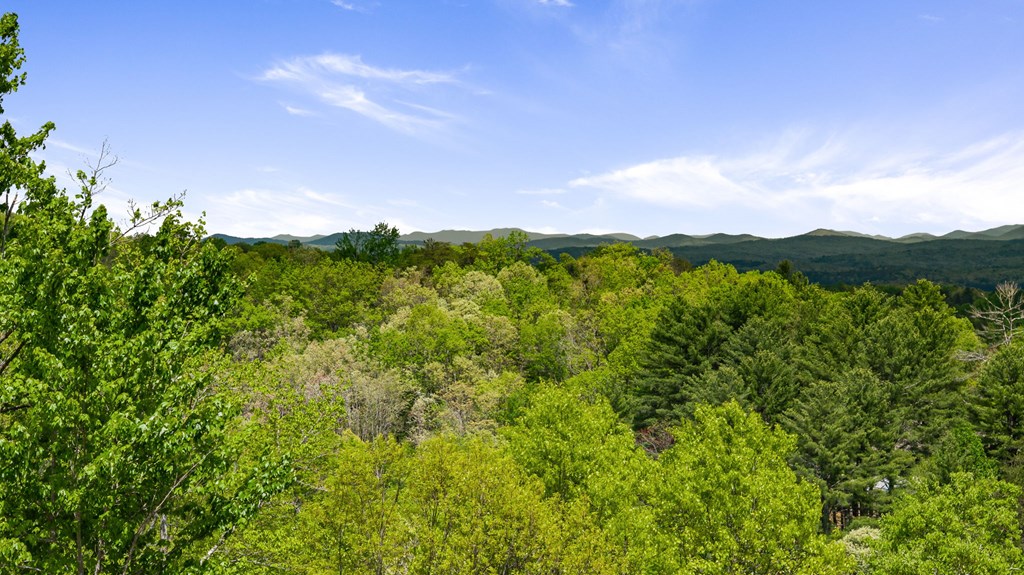 Tract C Deer Crest Road Property Photo 6