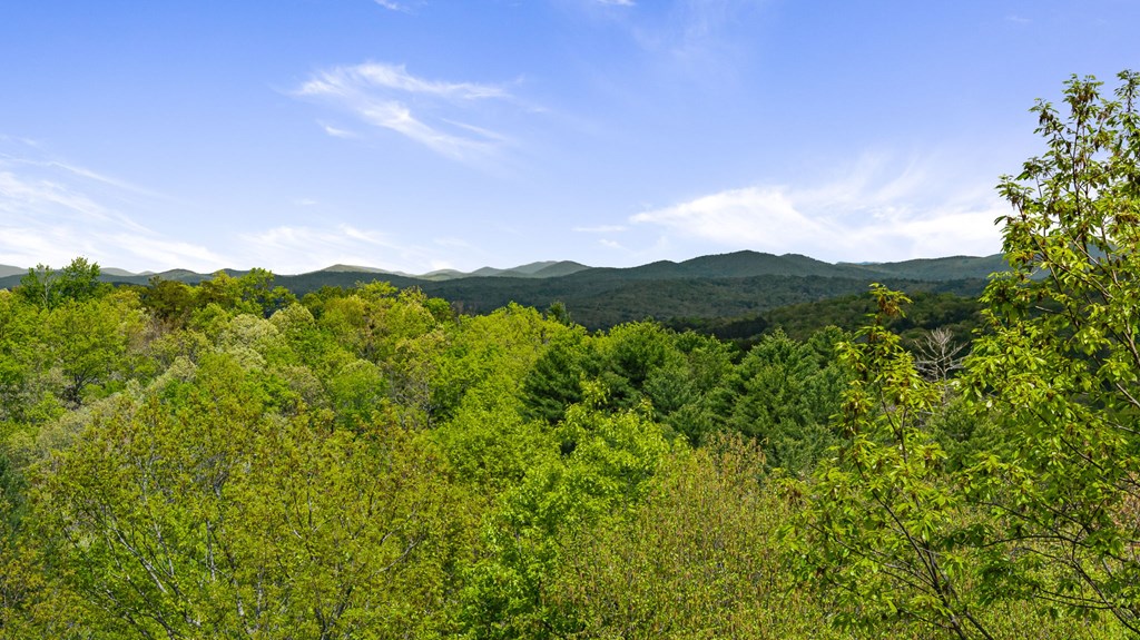 Tract C Deer Crest Road Property Photo 7