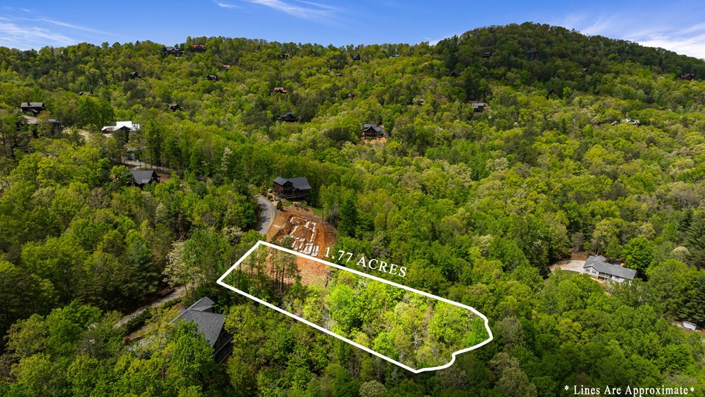 Tract C Deer Crest Road Property Photo 8