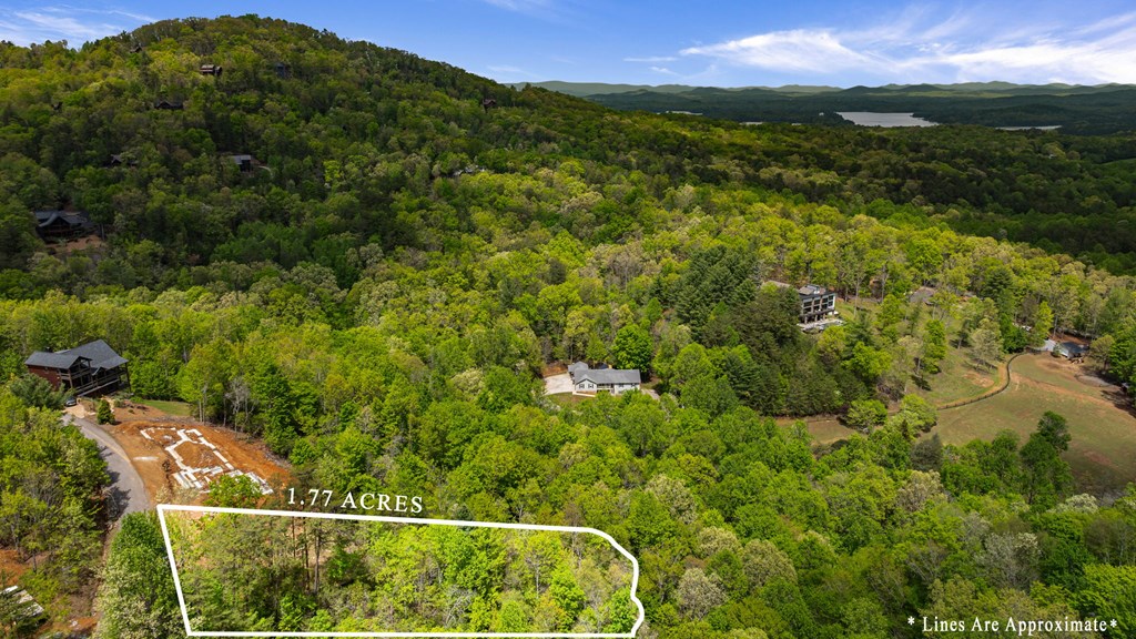 Tract C Deer Crest Road Property Photo 9