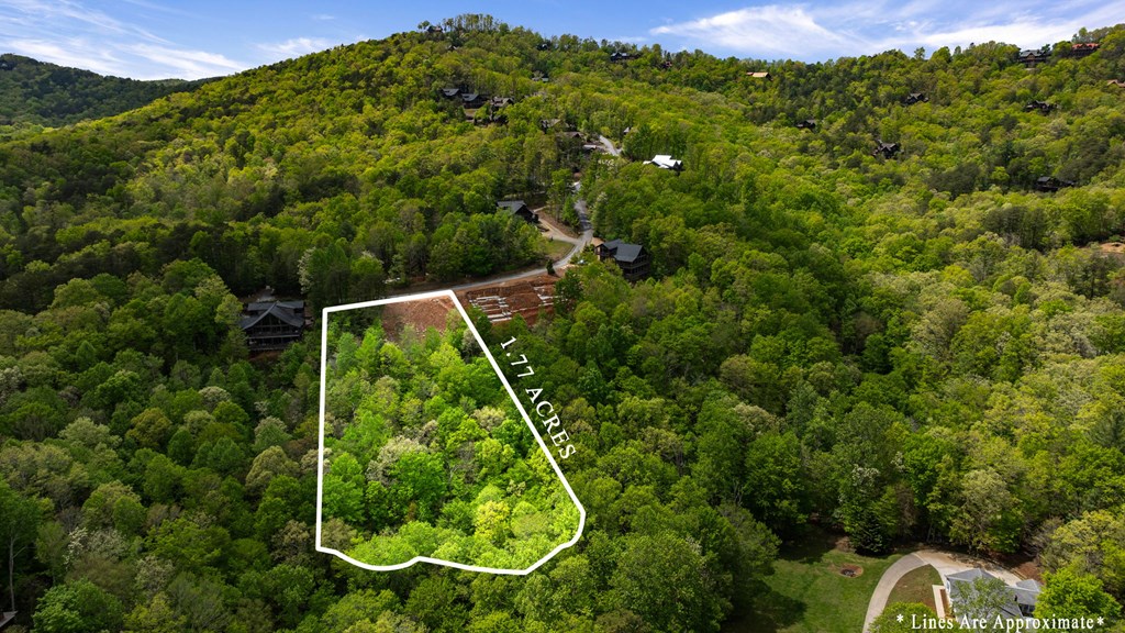 Tract C Deer Crest Road Property Photo 10