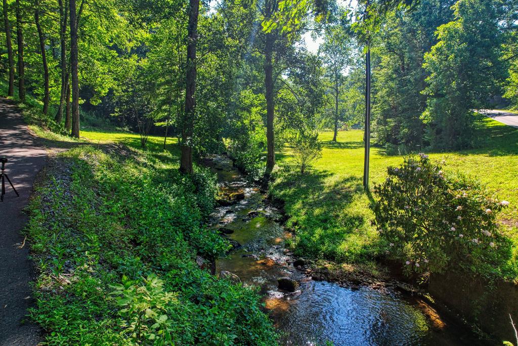 605 Owl Creek Road Property Photo 4