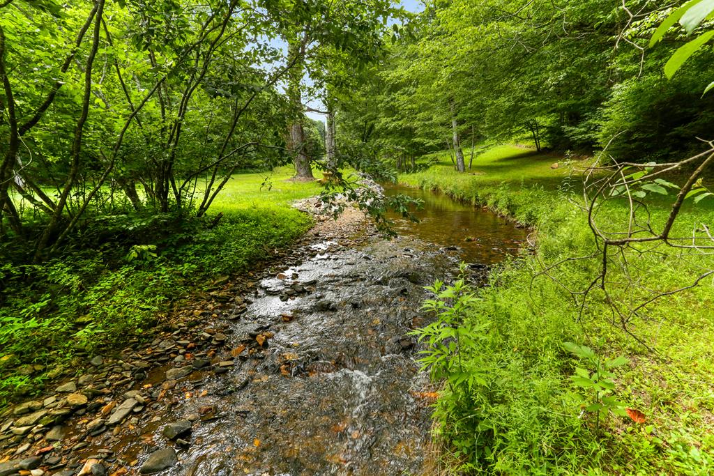 605 Owl Creek Road Property Photo 24