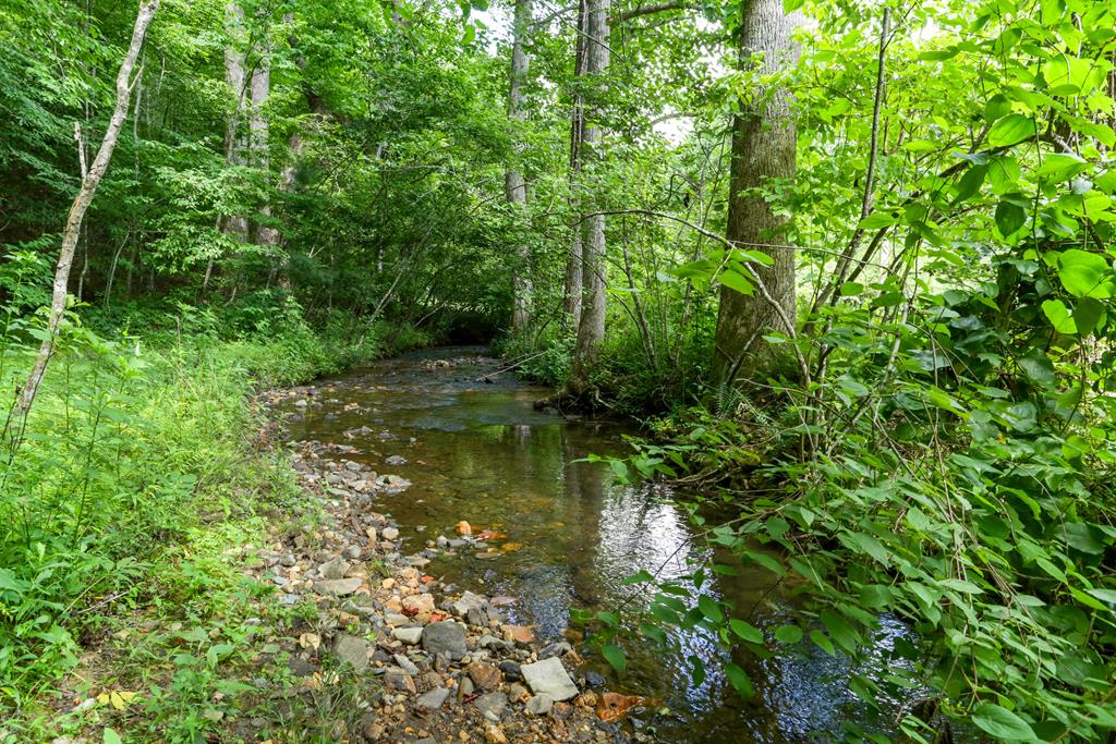 605 Owl Creek Road Property Photo 28