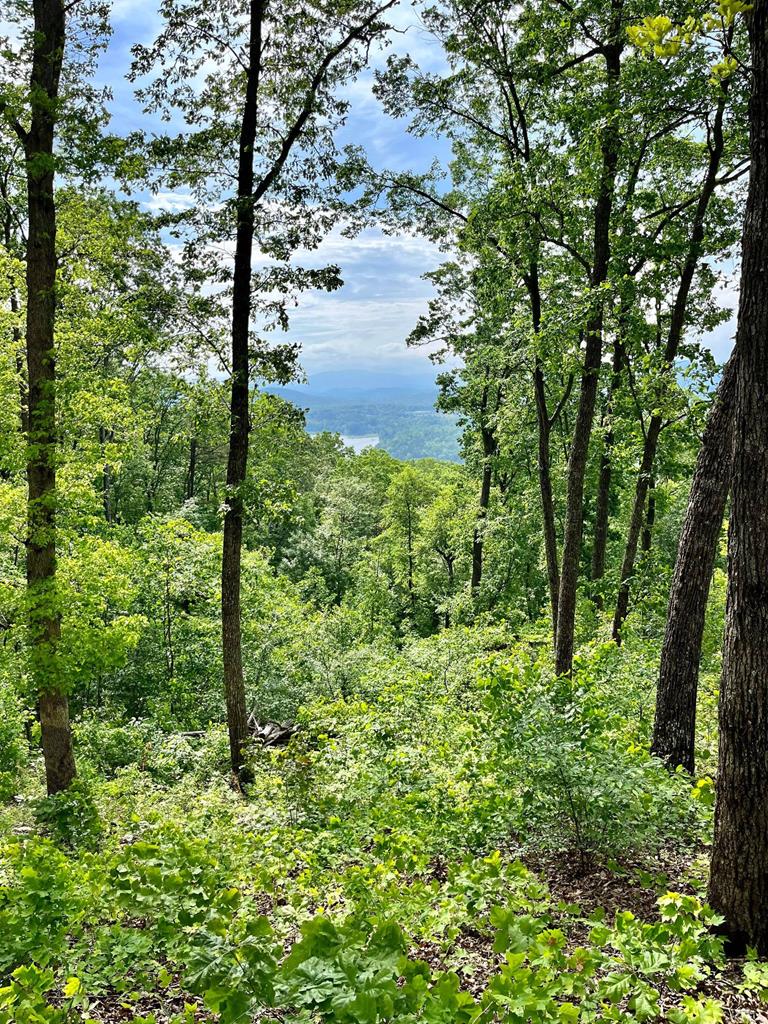 Lot 103 Highland Park Iii Property Photo 1