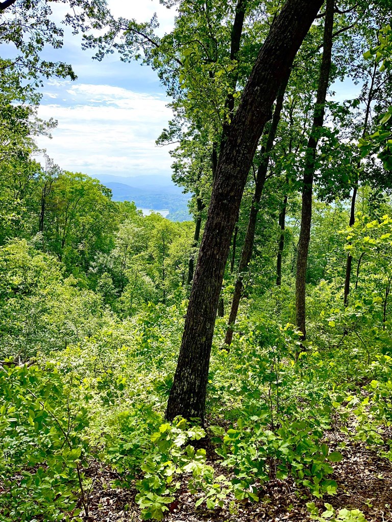 Lot 103 Highland Park Iii Property Photo 2