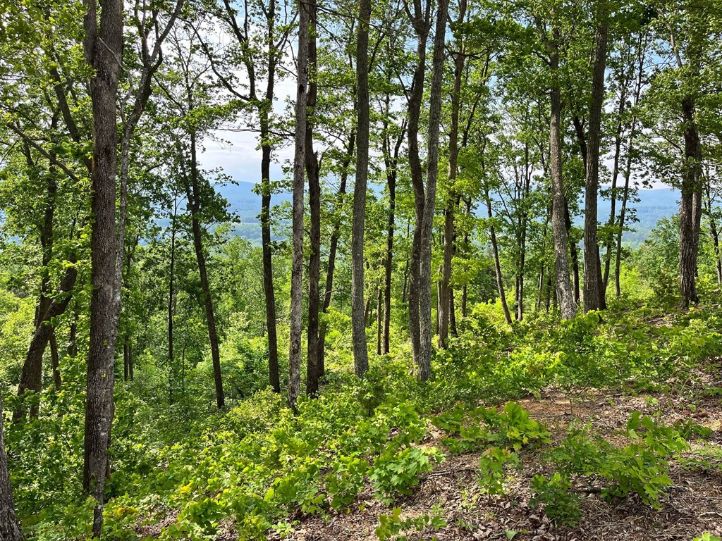 Lot 103 Highland Park Iii Property Photo 3