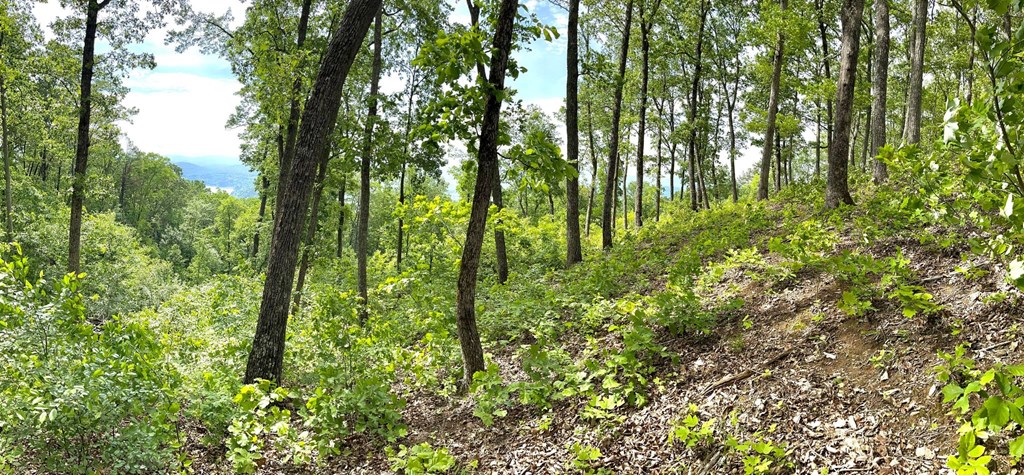 Lot 103 Highland Park Iii Property Photo 7