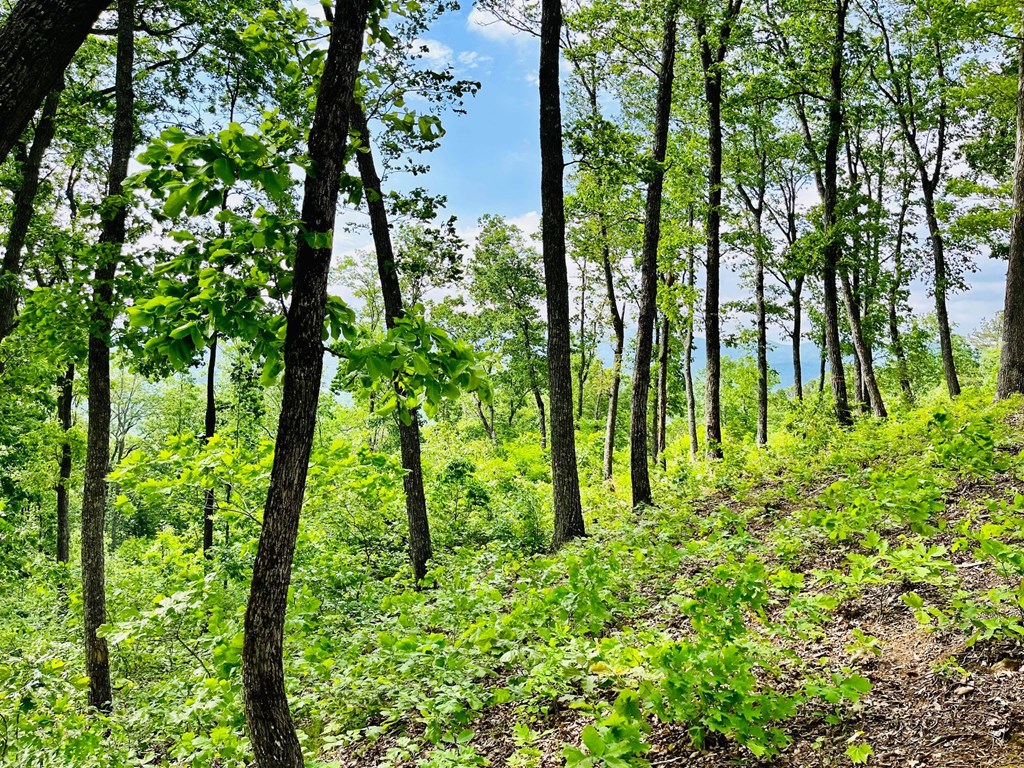Lot 103 Highland Park Iii Property Photo 8