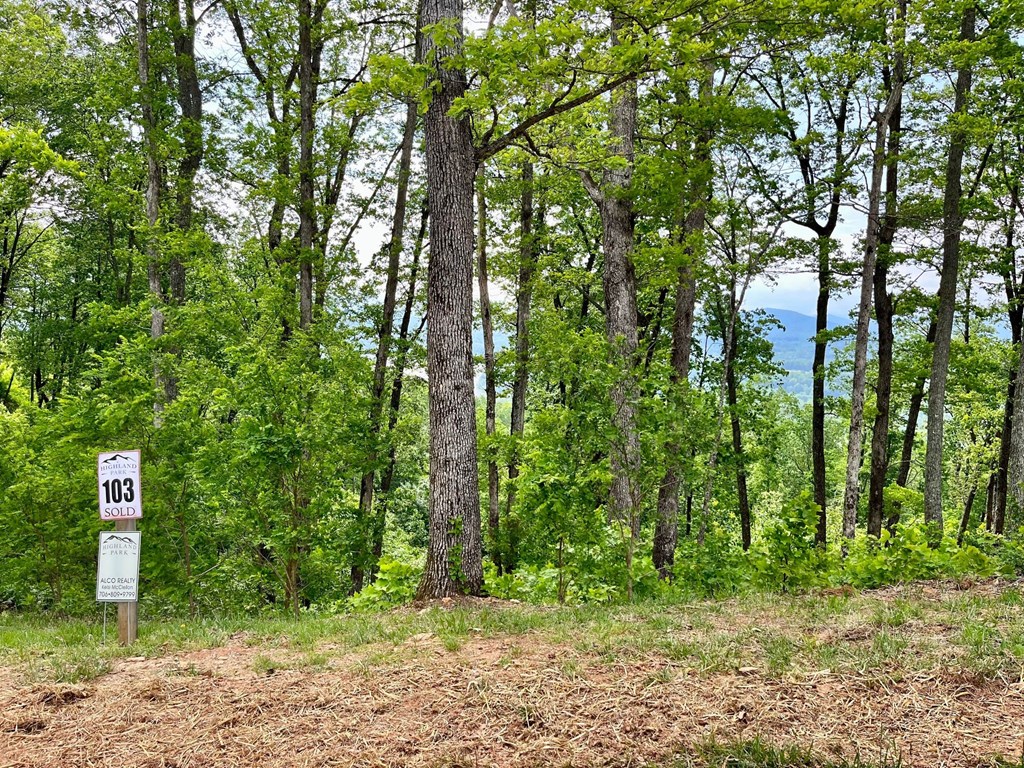 Lot 103 Highland Park Iii Property Photo 10