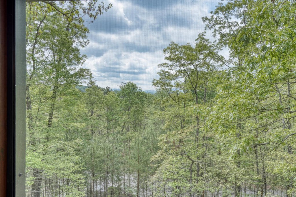 681 The Woods Road Property Photo 33