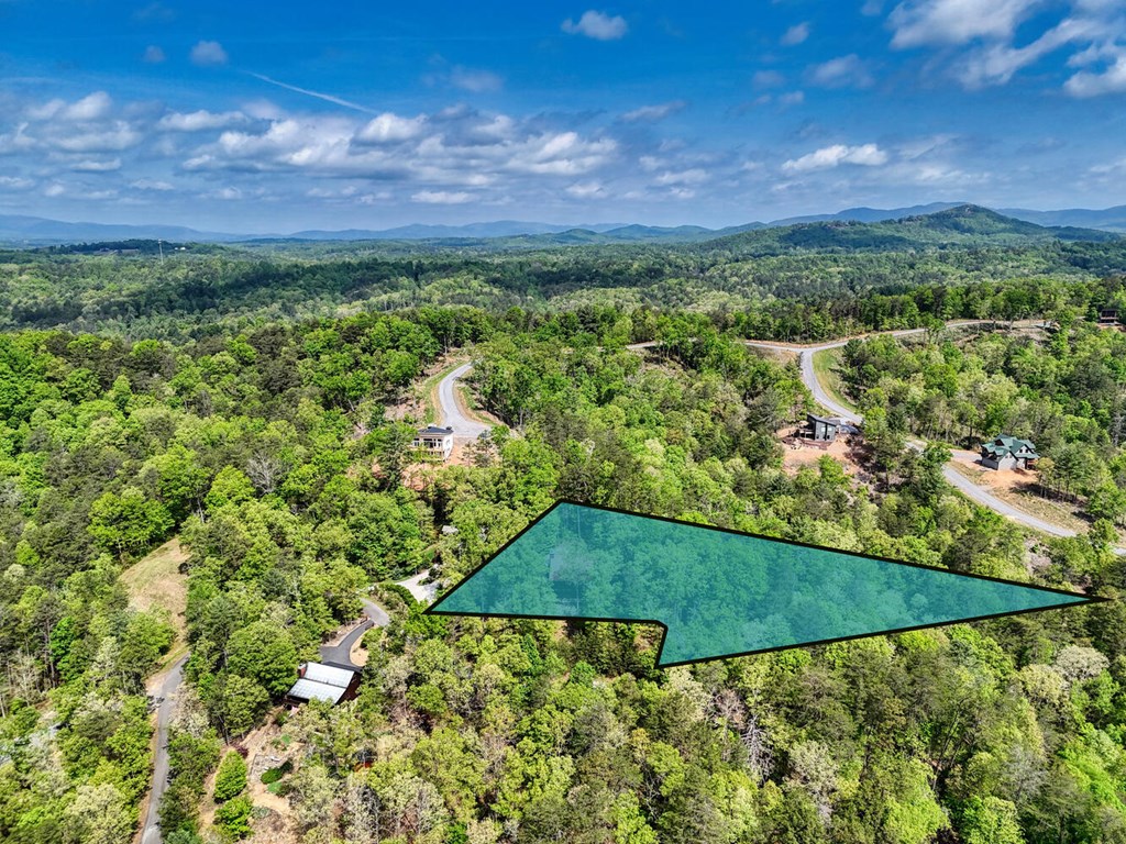 681 The Woods Road Property Photo 46