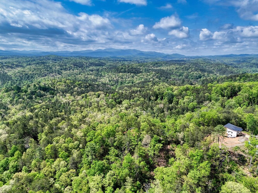 681 The Woods Road Property Photo 47