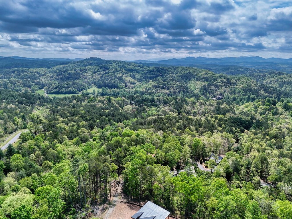 681 The Woods Road Property Photo 48