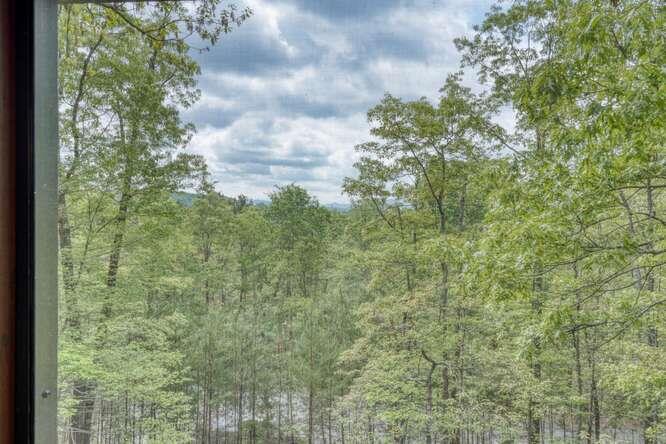 681 The Woods Road Property Photo 54