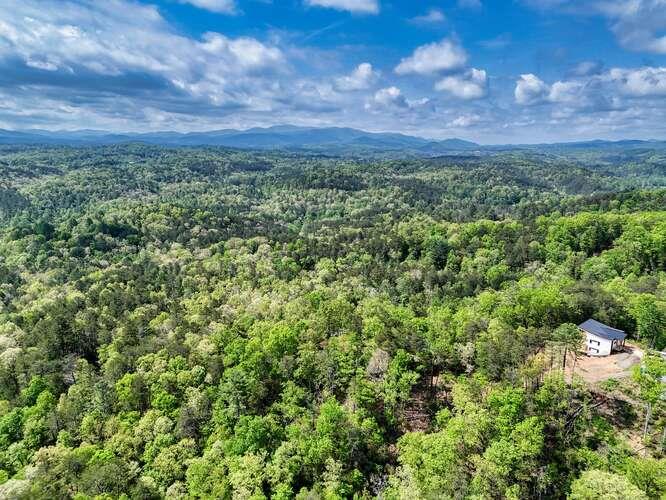 681 The Woods Road Property Photo 61