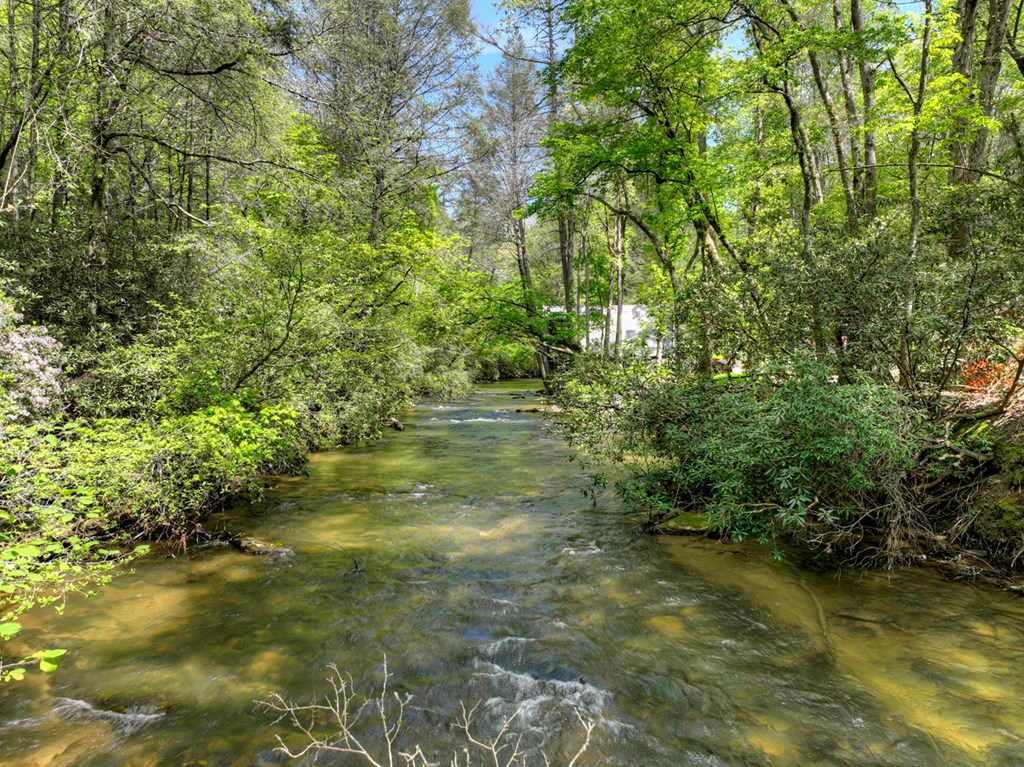 Lot 12 Hemlock Trail Property Photo 2