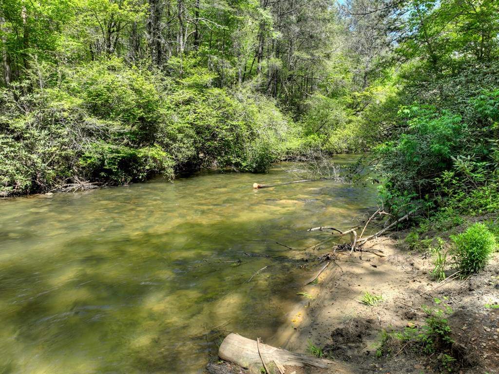 Lot 12 Hemlock Trail Property Photo 3