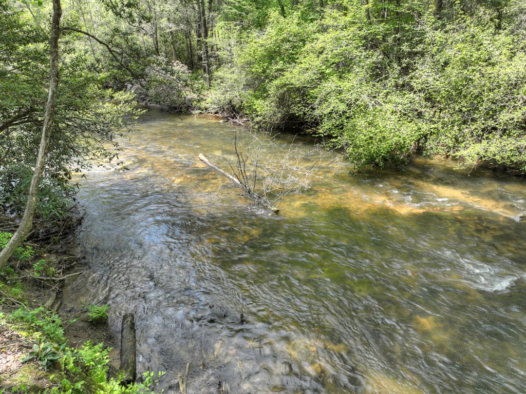 Lot 12 Hemlock Trail Property Photo 13