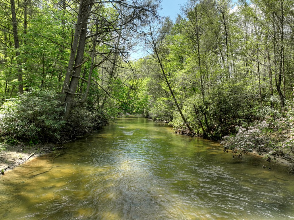 Lot 12 Hemlock Trail Property Photo 16