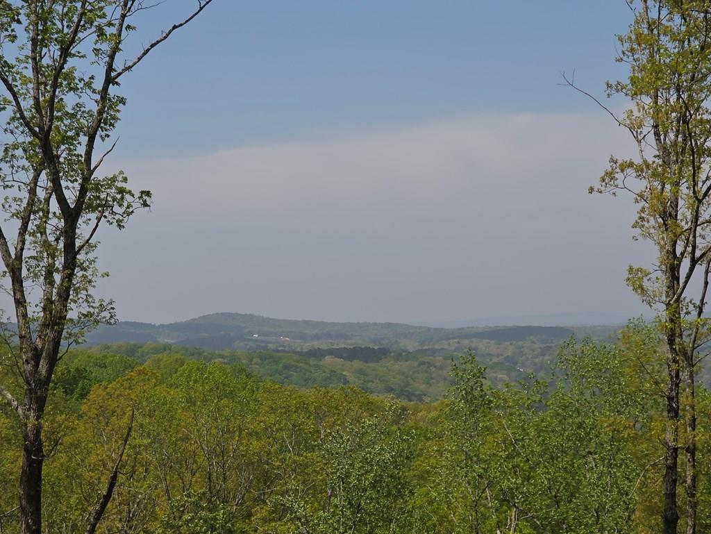 Lot 105 Twisted Oak Road Property Photo 1
