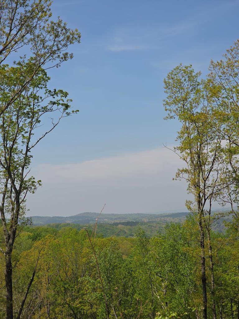 Lot 105 Twisted Oak Road Property Photo 2