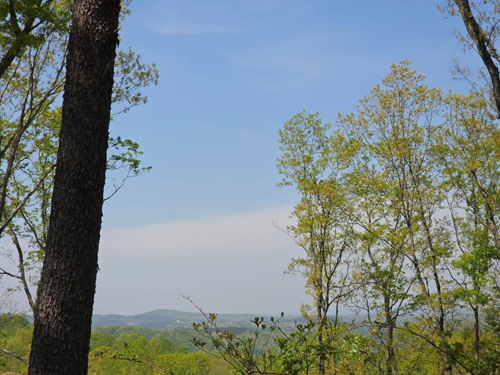 Lot 105 Twisted Oak Road Property Photo 4